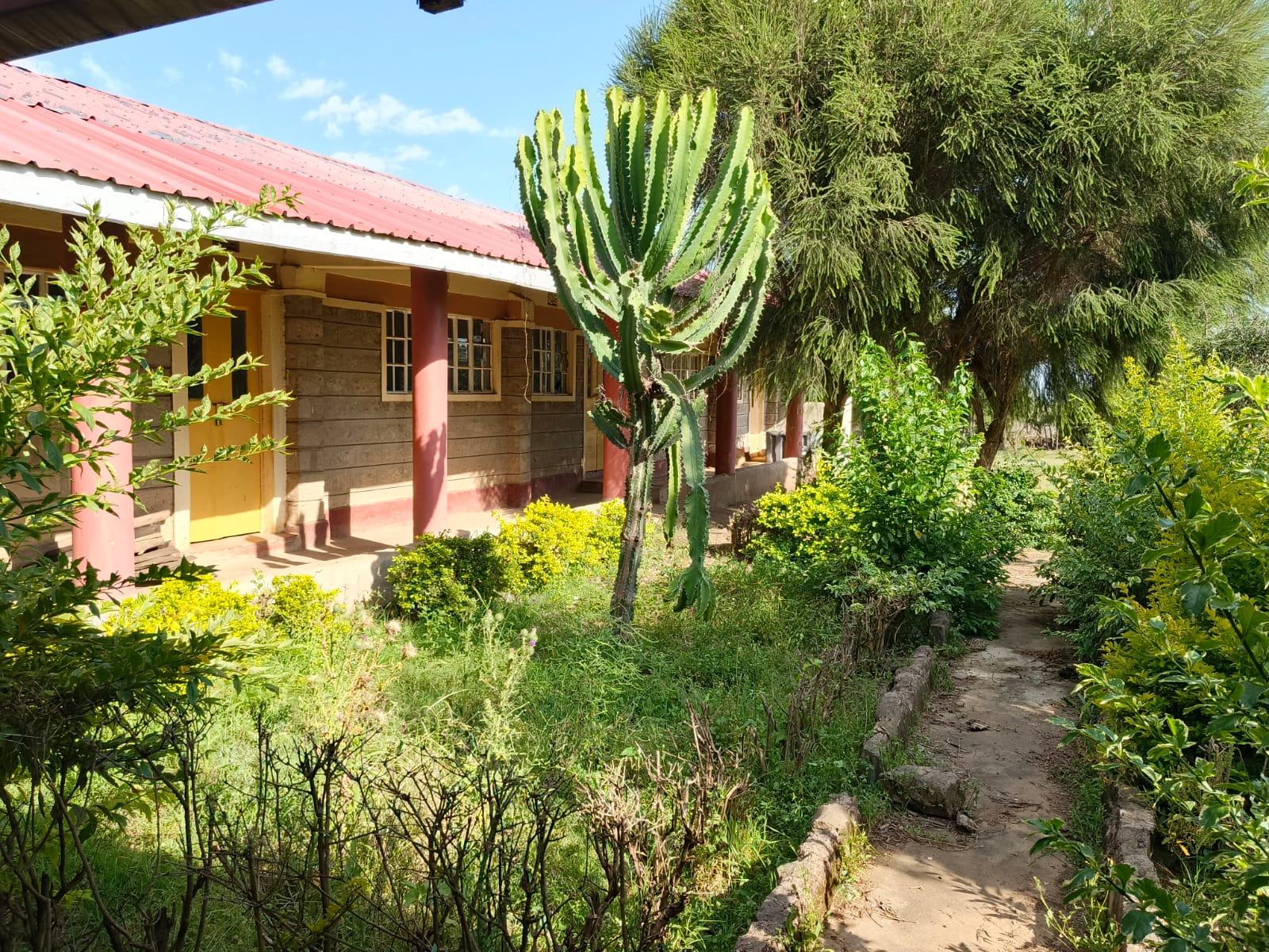 school for sale Narok – school grounds